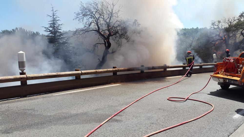 Feux de Forêt : Merci au CCFF de Grimaud