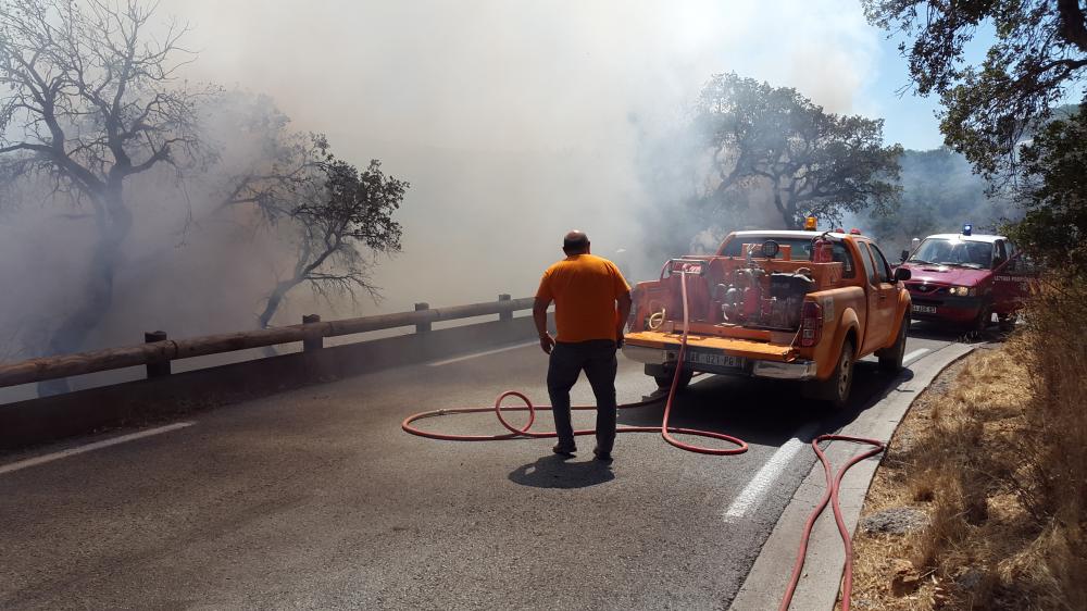 Feux de Forêt : Merci au CCFF de Grimaud