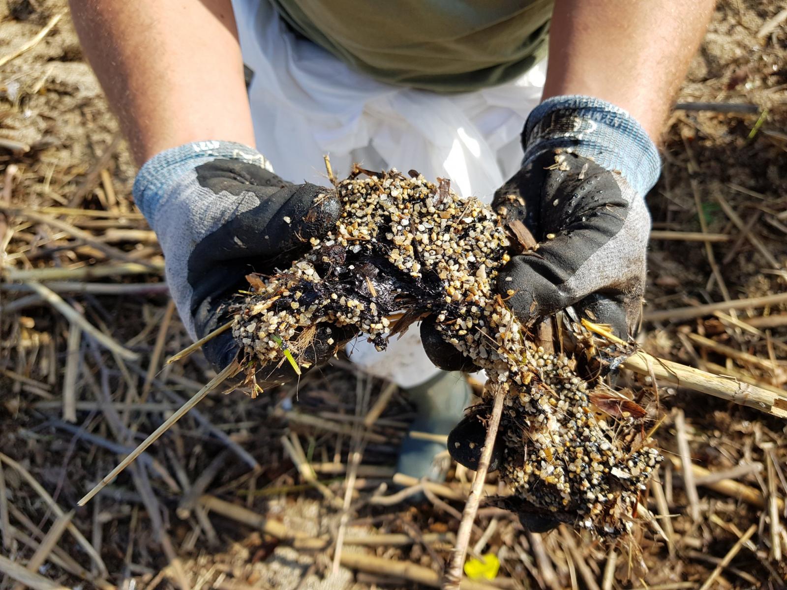 Pollution d'hydrocarbure : situation au 22 octobre 2018 à midi