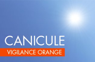 Le Var en vigilance Orange CANICULE
