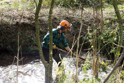 Cours d'eau 