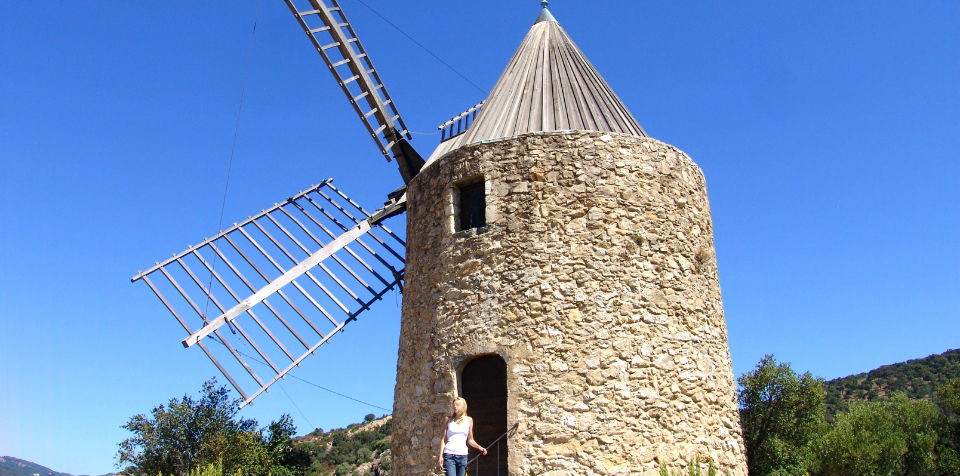 The Windmill