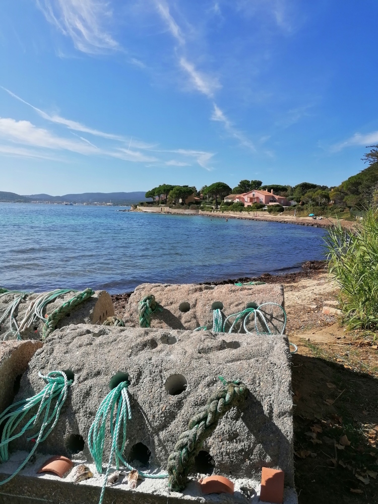 Restauration écologique de l'anse du Vieux Moulin : Fermeture au public du 9 octobre au 31 décembre 2019