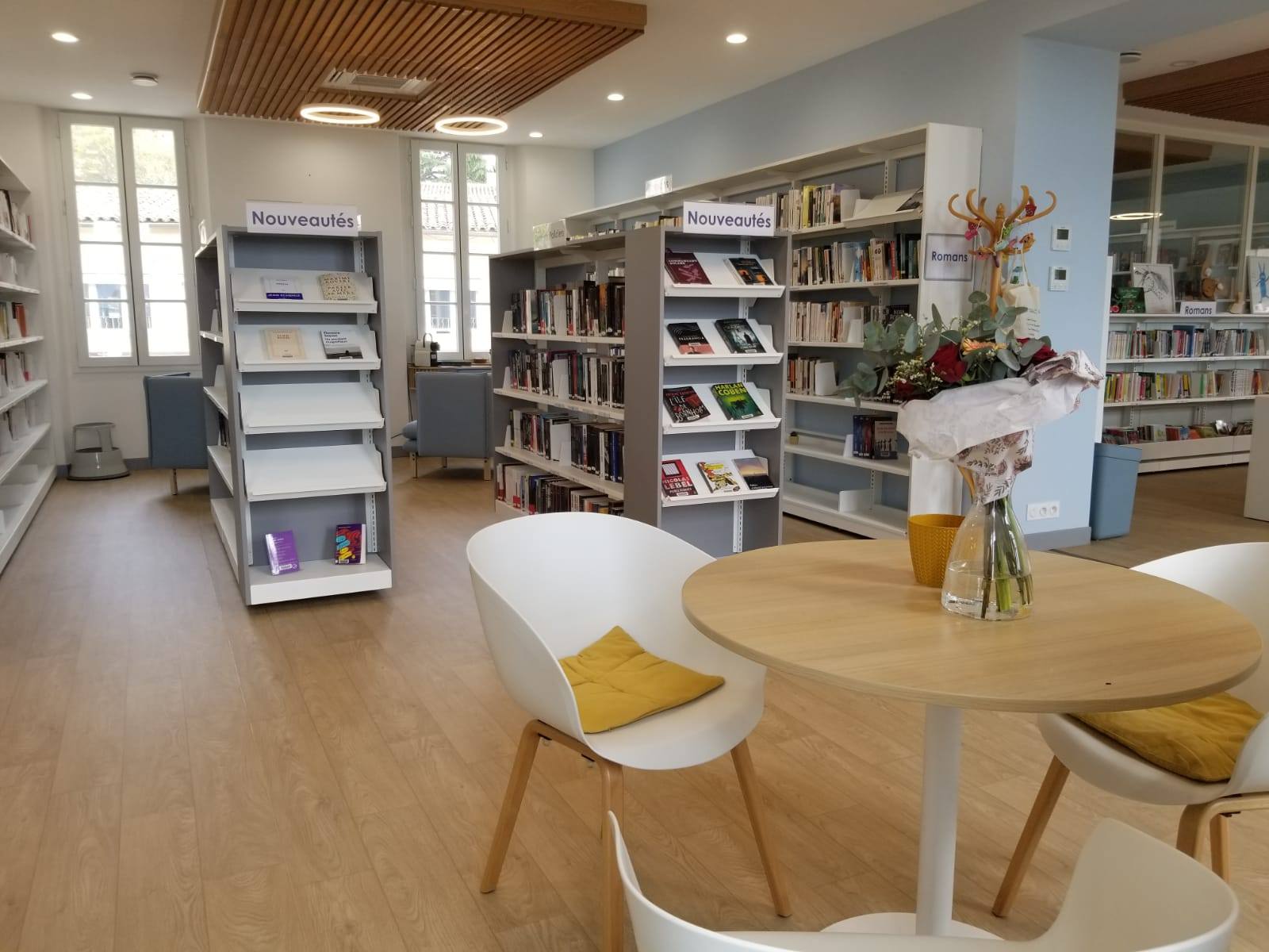 Municipal media library