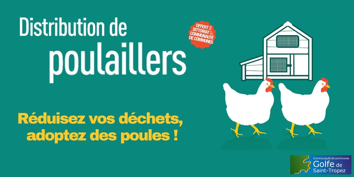 Adoptez des poules, la communauté de communes vous offre le poulailler !