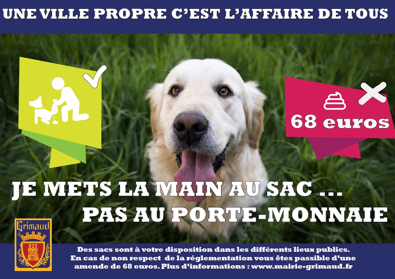 Campagne de prévention des déjections canines 